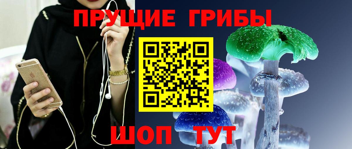 Псилоцибиновые грибы мицелий  купить  цена  Знаменск  Вход с VPN 